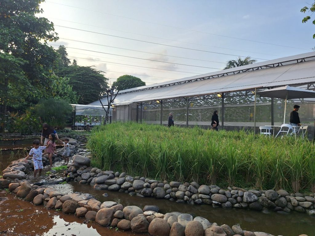 Mini-Zoo-Susy-Garden